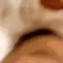 bite emote for Discord