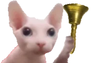 BingBong emote for Discord