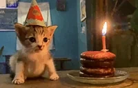 Birthday emote for Discord