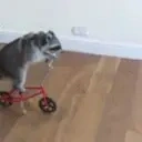 bike emote for Discord