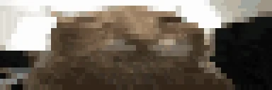 bh emote for Discord