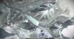 BIGBRAIN emote for Discord