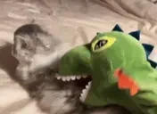 biting emote for Discord