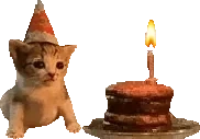 Birthday emote for Discord