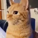 bite emote for Discord