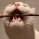 bite emote for Discord