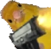 birbGun emote for Discord