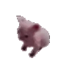 bingiDance emote for Discord