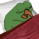 BirdgeAwoke emote for Discord