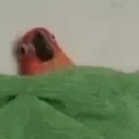 birbSleep emote for Discord