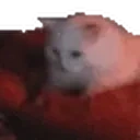 biscuits emote for Discord