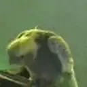 BirbJAM emote for Discord