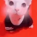 BingusBlush emote for Discord