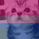 bisameual emote for Discord