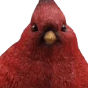 birdLeave emote for Discord
