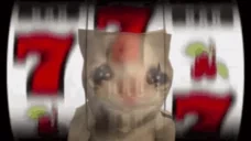 birdGamba emote for Discord