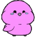 birdVibe emote for Discord