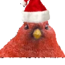 birdJam emote for Discord