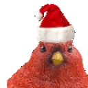 birdShake emote for Discord