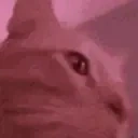 bigJAM emote for Discord