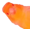 birbRage emote for Discord