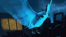 bird emote for Discord