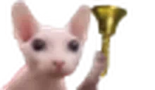 BingBong emote for Discord