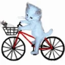 bikee emote for Discord