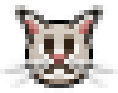 cat emote for Discord