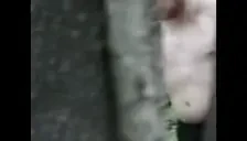 BilmuriRun emote for Discord