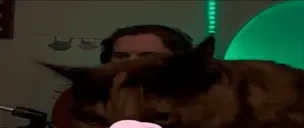 bihtsy emote for Discord