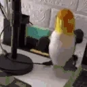 birbJump animated emote for Discord, Twitch and Slack