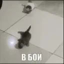 attack emote for Discord