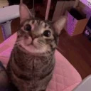 Attack emote for Discord