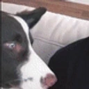 AtreyTasty emote for Discord