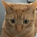 attack emote for Discord