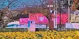 athenaSunflower emote for Discord