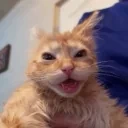 auh emote for Discord