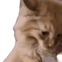 aurNaur emote for Discord