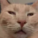 auh emote for Discord