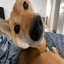 AutismCheck emote for Discord