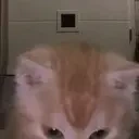 Aura emote for Discord