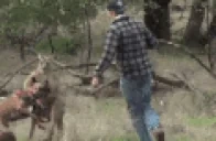 Australia emote for Discord