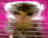 AURA emote for Discord