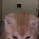 aura emote for Discord