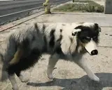 AuroraSpin emote for Discord