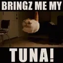 aura emote for Discord