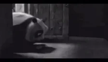 AUMA emote for Discord