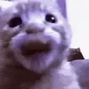 auh emote for Discord