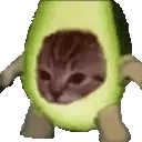 AvacatospinButTheySpeedy emote for Discord